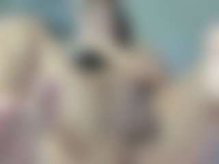 khloe queen's Live Sex Cam Show