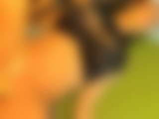 cristallwright's Live Sex Cam Show