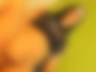 cristallwright's Live Sex Cam Show