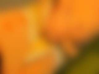 Live cam show with cristallwright - White on Soda Cam | colombia