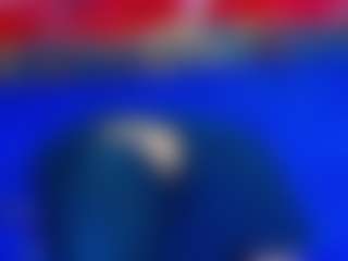 Live cam show with damian77Dam - Gape on boobsie.com