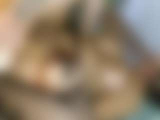 Live cam show with leoandkali - Brown Hair on Pornisteam.com