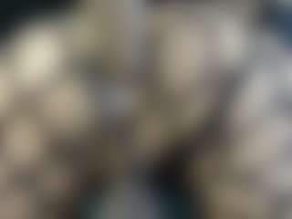 Live cam show with Britanystars - Big Balls on Strip Flash - Live Sex Shows