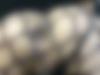 Live cam show with Britanystars - Cumshot on Strip Flash - Live Sex Shows