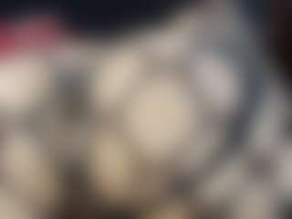 Britanystarss Live-Sex-Cam-Show