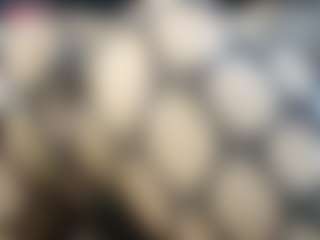 Britanystars's Live Sex Cam Show