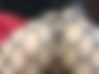 Live cam show with Britanystars - Teen (18+) on Camsoda
