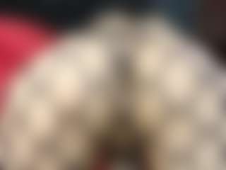 Britanystars's Live Sex Cam Show