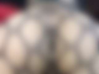 Cam Show en direct de Britanystars