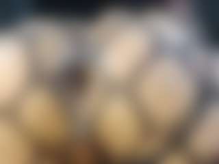 Britanystars's Live Sex Cam Show