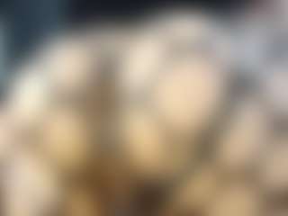 Britanystars's Live Sex Cam Show