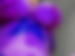 Rabbit_777's Live Sex Cam Show