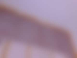 LaurenCarterr's Live Sex Cam Show