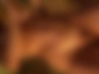 LaurenCarterr's Live Sex Cam Show