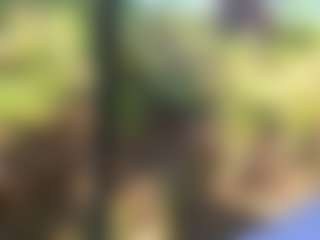 BritneyQuenn18's Live Sex Cam Show