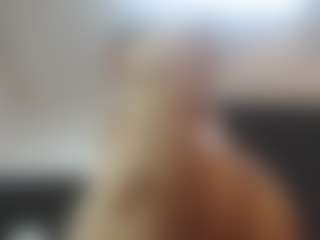 nei-girl's Live Sex Cam Show