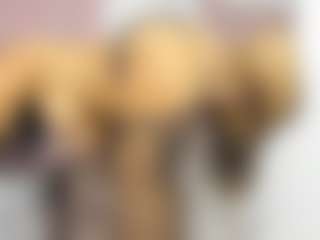 Arielasm's Live Sex Cam Show