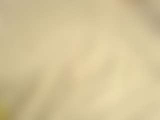 MariamFares's Live Sex Cam Show