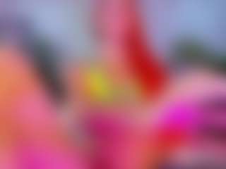 Live cam show with Alaiaguerra - Ebony on https://playwithruby.com | colombia