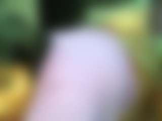 siminfox's Live Sex Cam Show