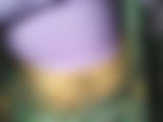 siminfox's Live Sex Cam Show