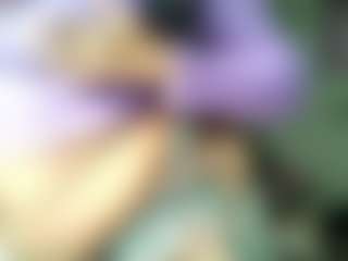 siminfox's Live Sex Cam Show