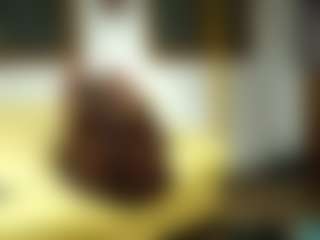 siminfox's Live Sex Cam Show