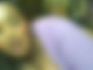 Live cam show with siminfox - Ebony Amateur on parknlotfishbdy