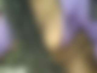 Live cam show with siminfox - Ahegao on hrnylive.com