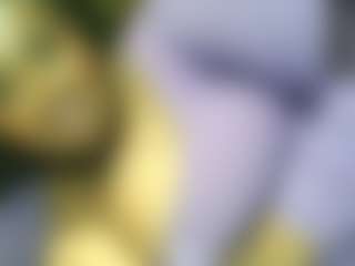 Live cam show with siminfox - Dirty Talk on anonymated.com