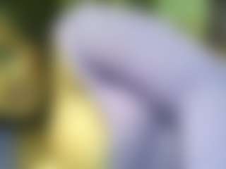 siminfox's Live Sex Cam Show
