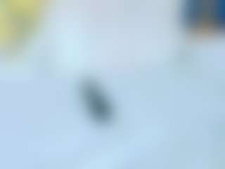 Live cam show with RubyRoger - Ebony Shaved Pussy on Camsoda | colombia