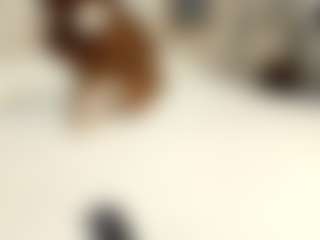 Dani-rosee1's Live Sex Cam Show