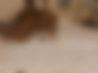 Live cam show with Dani-rosee1 - Tittyfuck on Camsoda