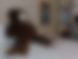 Dani-rosee1's Live Sex Cam Show