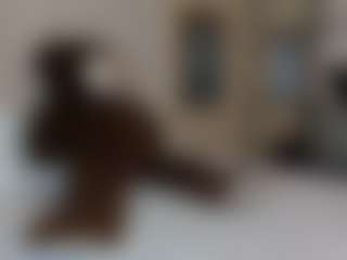 Dani-rosee1's Live Sex Cam Show