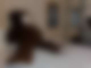 Dani-rosee1's Live Sex Cam Show