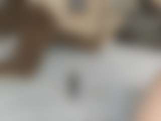 Live cam show with Dani-rosee1 - White on Fling VIP Chat | colombia