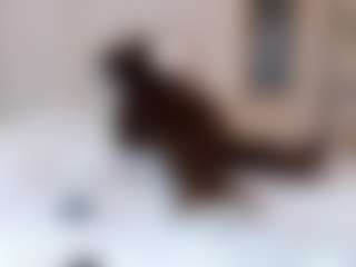 Dani-rosee1
