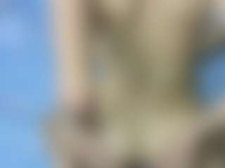 Andy-Wong's Live Sex Cam Show