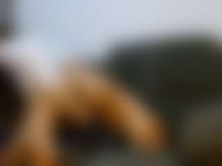 Live cam show with StarCat-1 - White on AdultVida.com | colombia