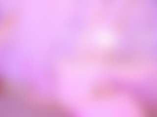dakotaferreti's Live Sex Cam Show