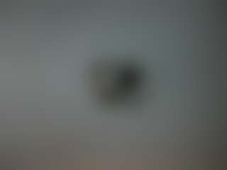 Live cam show with Vanessa - Control on Camming Site