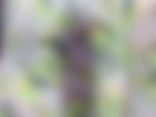 alejandra1's Live Sex Cam Show