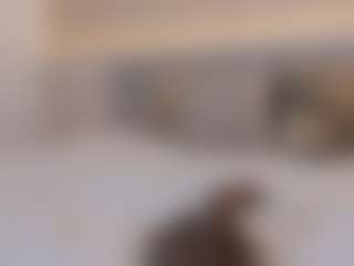 Nicol's Live Sex Cam Show