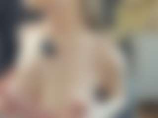 BelleDream's Live Sex Cam Show