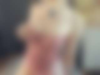 BelleDream's Live Sex Cam Show