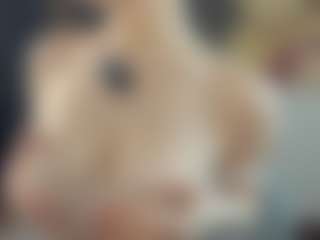 BelleDream's Live Sex Cam Show