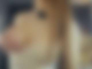 BelleDream's Live Sex Cam Show