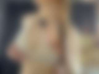 BelleDream's Live Sex Cam Show